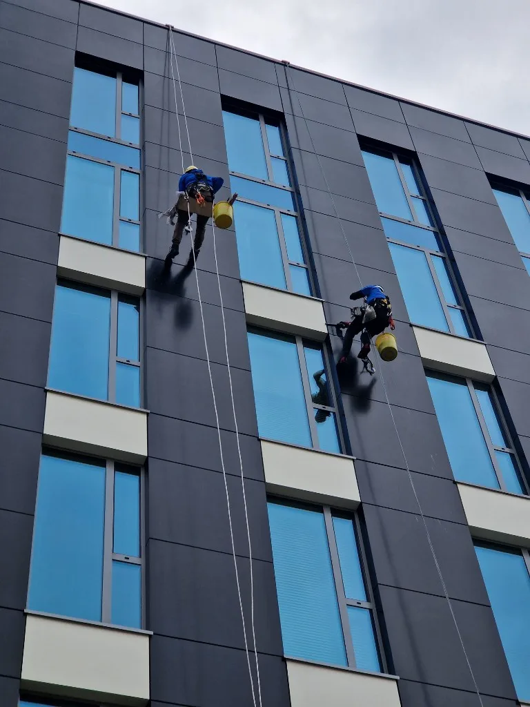 Professional window cleaners rappelling on a high-rise building facade